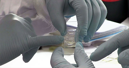 Crean una chip para controlar el cerebro y administrar fármacos